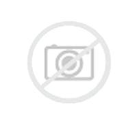 GOODRIDE 185R14C 102/100Q SL366 RADIAL M/T,