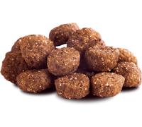 Goodstuff 12,5kg Caballo Adulto
