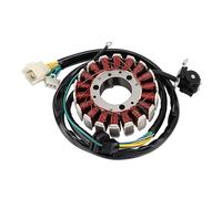 GOOFIT 12 Bobina Motocicleta Magneto Estator Motor Accesorios Reemplazo para CBX250 2004-2010 CBF250 2004-2009