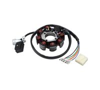 GOOFIT 5 Cable 8 Bobina Estator MagnéTico Sustitución para 125cc 150cc 250CC Quad Kart TaoTao ATV Quad