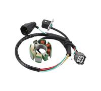 GOOFIT Bobina de Estator Magneto Reemplazar Para KX 250 F KX250F 2004-2010 21003-0015 21003-0048 21003-0027 21003-0091 2005 2006 2007 2008
