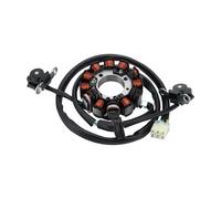 GOOFIT Bobina del Estator del Generador De Motocicletas De 12 Polos Reemplazar para CRF450R CRF 450R 2009