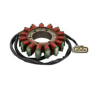 GOOFIT Bobine de stator magnétique générateur Sostituzione per Tiger 800 800XC 800XCA 800XRT 2011-2020 T1300043