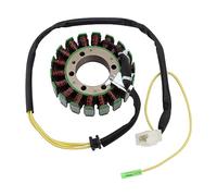 GOOFIT DCMagneto Stator Bobina de 18 bobinas reemplazo para motocicleta CN250 CH250 CF250cc refrigerada por agua ATV Dirt Bike