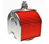 GOOFIT Filtro de Aire reemplazo para Helix CN250 CF250cc refrigerado por Agua ATV Go Kart ciclomotor