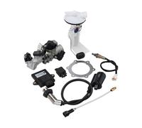 GOOFIT Kit De Sistema De InyeccióN EléCtrica De Combustible Reemplazar Para GY6 Engine 169cc 170cc Jonway GTX 250 EFI 200