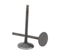 GOOFIT Pitbike Válvula de salida y válvula de entrada reemplazo para motocicleta refrigerada por agua 250 cc CF250 cc ATV Go Kart moto scooter