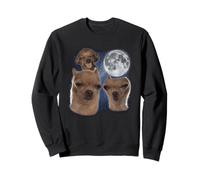 Goofy Ahh Dog Moon 3 Aullando en la Luna, Divertido, extraño, Maldito Sudadera