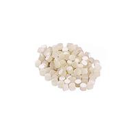 GOOHOCHY 100 Incrustaciones Fosforescentes De 6,0 Mm Para Diapasón De Guitarra y Ukelele, Marcadores De Trastes Forma De Concha Marina, Puntos Luminosos Para Mandolina, Banjo