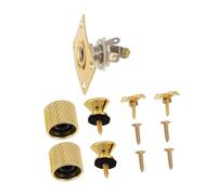 GOOHOCHY Kit Accesorios Guitarra Eléctrica Dorado con Placa Jack Botones Correa y Retén Cuerdas para Estabilidad y Afinación Precisa