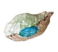 GOOHOCHY Plato de Diseño Irregular Forma de Caparazón de Bandeja Multifuncional para Frutas y Aperitivos para Eventos y Uso Diario Acabado