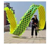 GOOPEEG Danza del Dragón Cinta De Danza Del Dragón 3D Streamer Accesorios Y León Fitness Al Aire Libre Desfile, Celebración(Grün,10 meters)