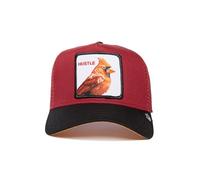 Goorin Bros Cardinal Fan The Hustle Bird Cardenal Rojo Pájaro Rojo Negro Gorra de Camionero Ajustable