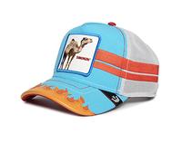 Goorin Bros Gorra Azul y Blanca Dromedario Somebody Stop