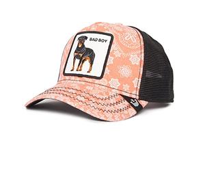 Goorin Bros Lovesexy Bad Boy Perro Rosa Negro Gorra de Camionero Ajustable