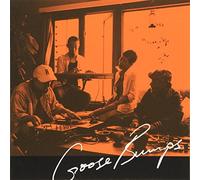 Goose Bumps - Vol. 2-Goose Bumps