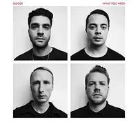 Goose - What You Need [Vinilo]