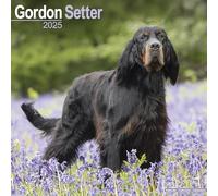 Gordon Setter Calendar 2025 Square Dog Breed Wall Calendar - 16 Month