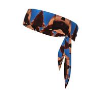 Gorge Scenery - Diadema unisex con estampado de paisaje seco, banda elástica ajustable para el sudor con diseño de lazo trasero
