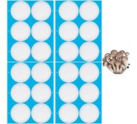 GORGECRAFT 24pz 4 Hojas de Pegatinas de Papel de Filtro Sintético Disco de Filtro de 76mm Boca Ancha de 0.3 μm Parche de Filtro para Tarro de Albañil Cinta Adhesiva Autoadhesiva para Tapas de Tarros