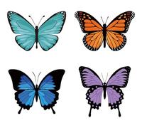 GORGECRAFT 4 Pegatina de Mariposa para Ventana de Cristal Estático para Puerta Corredera Película de Alerta de Vinilo para Dormitorio Baño Primavera Animales Anticolisión para Evitar Que Pájaros