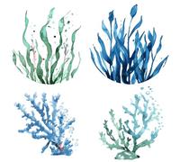 GORGECRAFT 4pz Pegatinas para Ventana Bajo el Mar Vinilo Extraíble con Algas Marinas Plantas de Coral Pegatinas para Ventana Película de Alerta Anticolisión para Evitar Colisiones de Pájaros Perros