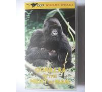 Gorillas in the Midst of M. [VHS]