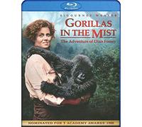 Gorillas in the Mist