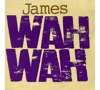 Gorka, John - Land of the Bottom Line by Gorka, John (1990) Audio CD