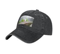 Gorra de béisbol, casqueta de Mezclilla Lavada, Gorra Deportiva, Sombreros para papá, Sombreros de Camionero para Unisex,Parque Bichón Frisé Mascotas Perros Perros Bichón Frisé