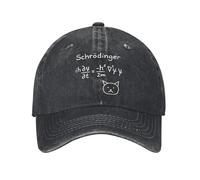 Gorra de béisbol Casual de Schrödinger Gorra de Camionero de KPOP Rock Mayorista de Verano Universitario Estilo Callejero Gorras de béisbol