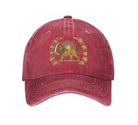 Gorra de béisbol, Gorra de béisbol con Emblema del León Iraní, Gorra de béisbol Ligera de tamaño Ajustable, Gorra de Mezclilla clásica Casual, Iconos De Animales