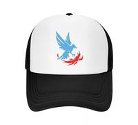Gorra de béisbol Infamous Second Son Champion Logo Clásico Casual Malla Ajustable Hip Hop Verano Unisex Gorras de béisbol