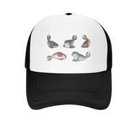 Gorra de béisbol Little Seals, Moda Informal, Malla Ajustable, Hip Hop, Verano, Unisex, béisbol policromada