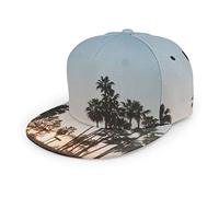 Gorra de béisbol Unisex Tyrannosaurus Rex Triceratops Dinosaurs World para Hombre y Mujer, con Visera Plana Ajustable, Gorra de béisbol Estilo Hip Hop.