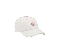 Gorra Dickies Hardwick TU