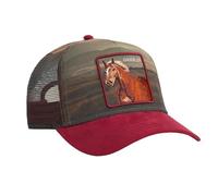 Gorra Goorin Stallion in The Element