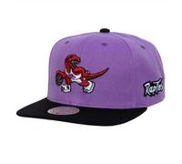 Gorra Toronto Raptors NBA Team Origins Hwc TU