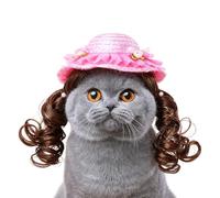 Gorro de béisbol para perros | Gorra de béisbol marrón | Breathable Stylish Summer Warm Kitten Hat with Adjustable Neck Strap for Pet Puppy Birthday Party Halloween Winter Sun Beach