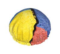 Gorro de ducha con bandera de Ucrania y Rusia, gorros de ducha de baño reutilizables para mujeres de pelo largo, gorro de ducha de baño impermeable de doble capa, protector de cabello para niños, ni