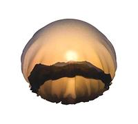 Gorro de ducha con estampado de cielo estrellado y puesta de sol brillante, gorro de baño reutilizable elástico para mujer, gorro de ducha impermeable de doble capa, para salón de spa para damas