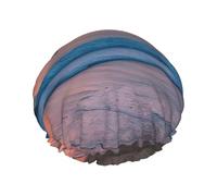 Gorro de ducha con estampado de puesta de sol para mujer, gorro de baño reutilizable, transpirable, gorro de ducha ajustable