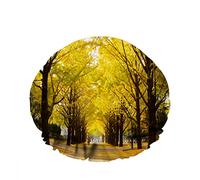 Gorro de ducha impermeable doble Gingko Trees Line Different Row Road Yellow Leaf Gorro de ducha de moda reutilizable para mujeres Belleza, BathHair Spa, Home Hotel Travel Use