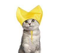 Gorro de ducha para gatos, impermeable, reutilizable, protector de orejas de gato con correa ajustable para gatos y mascotas pequeñas, lavado de baño, lluvia