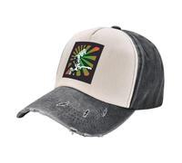 Gorro de Hombre, cálido algodón Puro。 Gorra de béisbol Widespread Panic | F | Sombreros para Hombres Mujeres