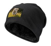 Gorro de Punto con puños de Puppy Crossing The Grass para Hombre y Mujer, Gorro de Invierno con Forro Polar y Felpa.