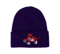 Gorro de punto Mitchell & Ness Fandom Toronto Raptors TU