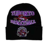 Gorro Toronto Raptors NBA Team Origins Hwc TU