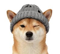 Gorros para Perros,con Agujeros para Orejas Tejido Suave,Gorro de Invierno Abrigado Tipo Cazador - para Perritos Razas Pequeñas Fiesta Disfraz Cumpleaños Fotos Camping