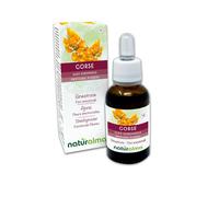 Gorse o Aulaga (Ulex europaeus) Flores emocionales o Flores de Bach Naturalma - Gotas 30 ml - Extracto líquido sin alcohol - Esencias florales - Vegano